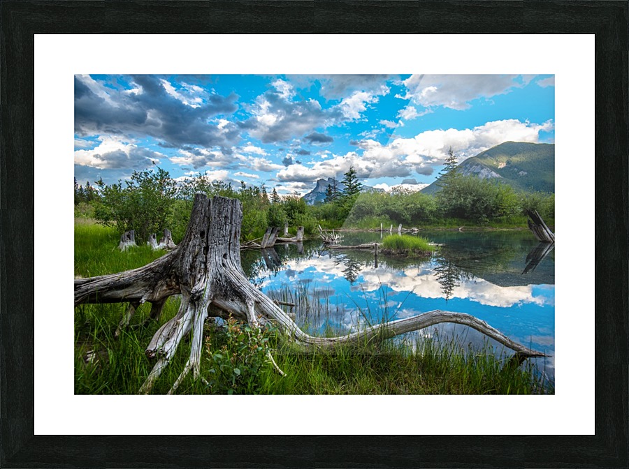 Canadas Jurassic World Picture Frame print