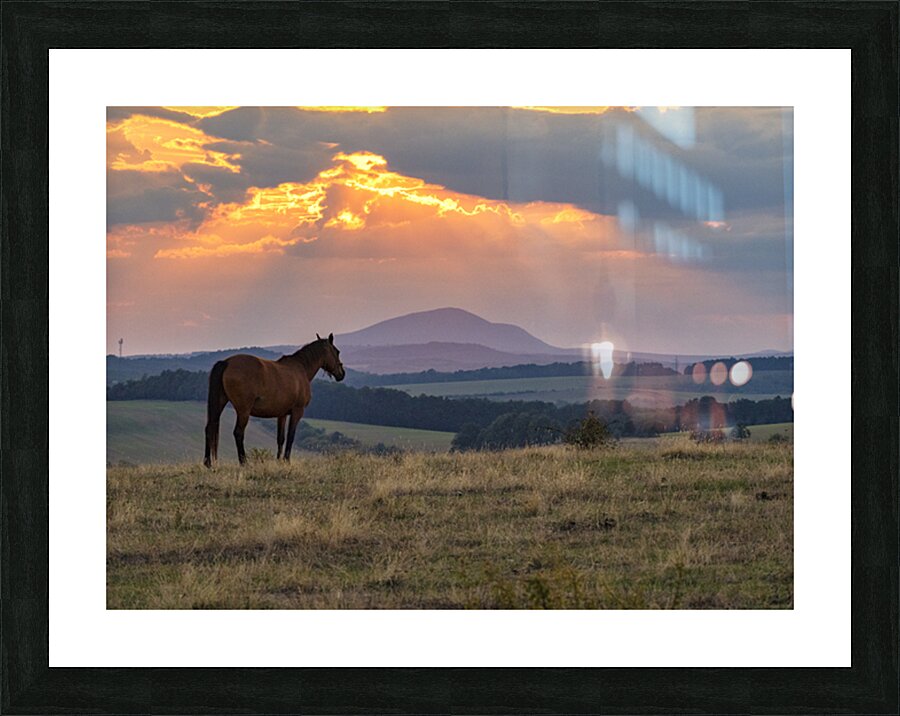 Picturesque Eve Picture Frame print