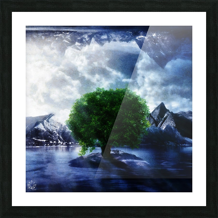  Fine Art print