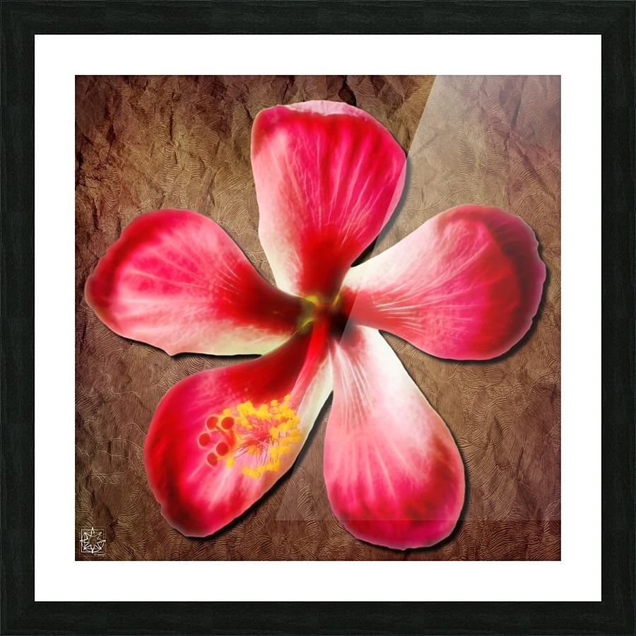  Fine Art print