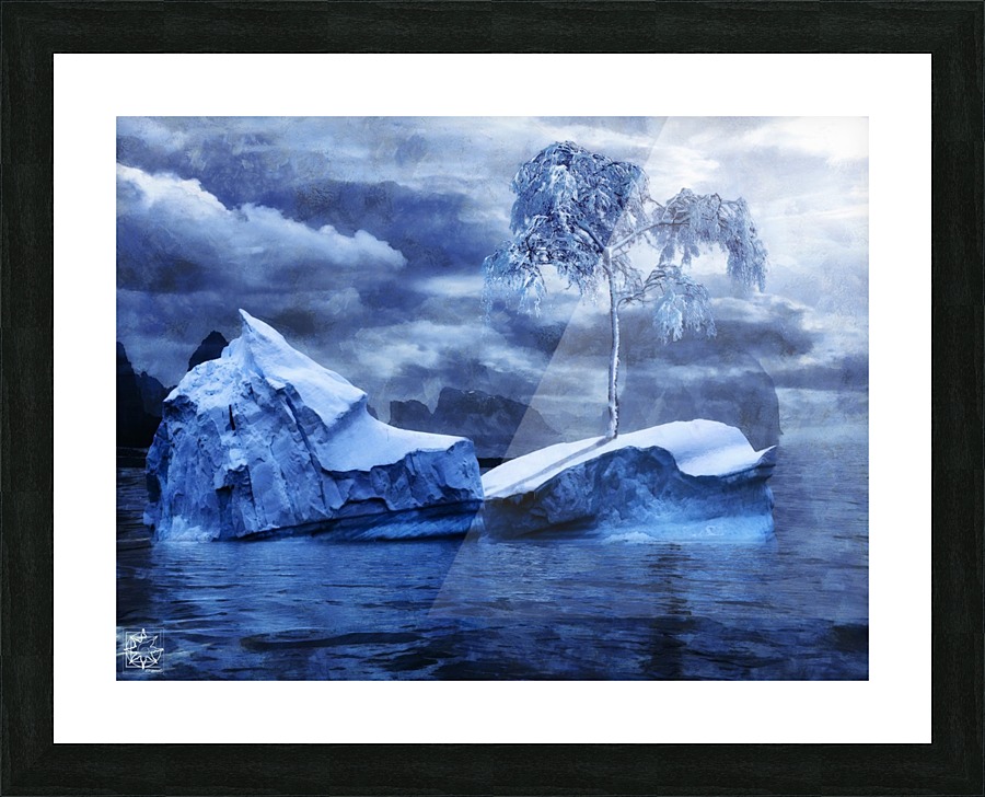  Fine Art print