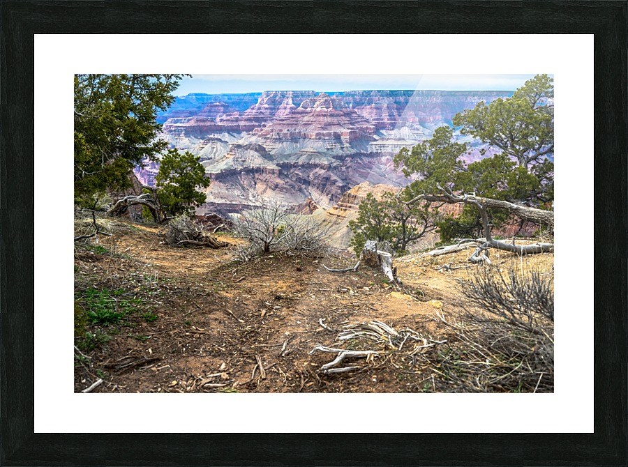 Near And Far Grand Canyon Vincenzo Canvas