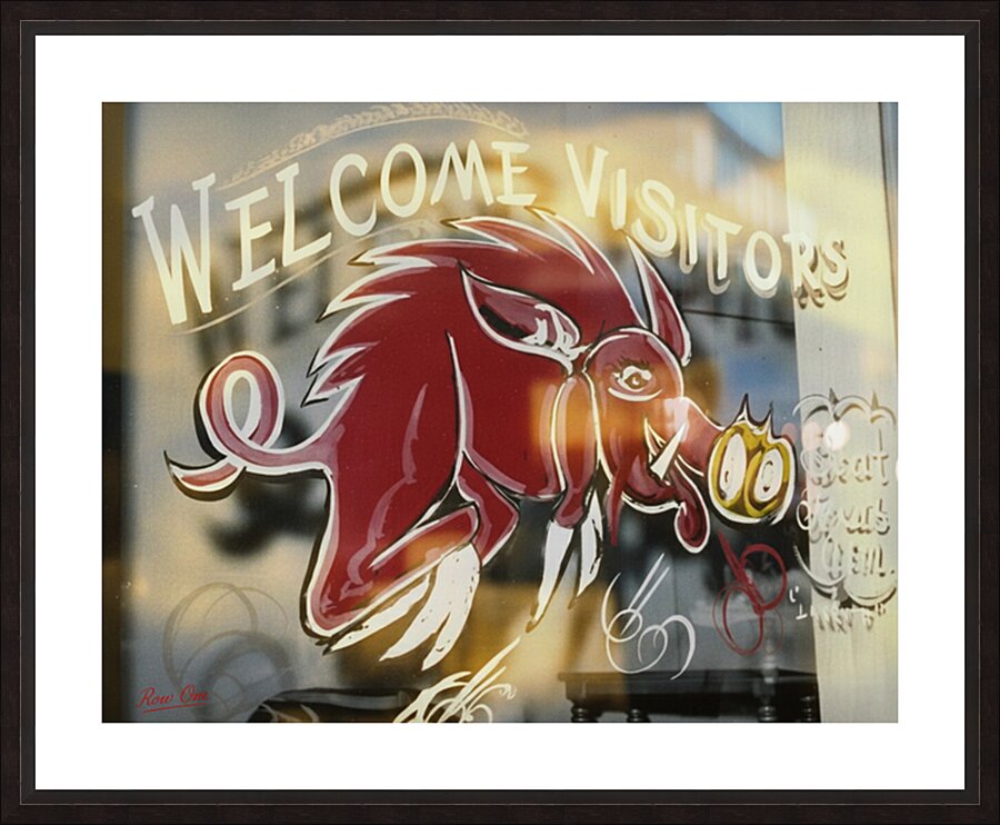 1950s Arkansas Razorback Painted in Window Picture Frame print