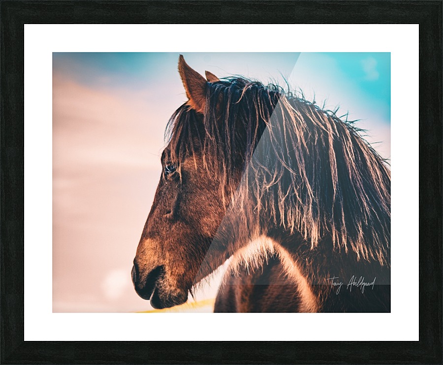 Artistic Horse Hi Res   A3 Picture Frame print