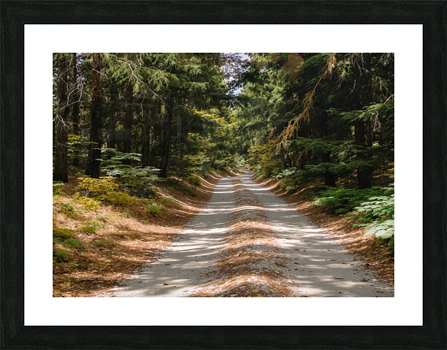 wall art Picture Frame print