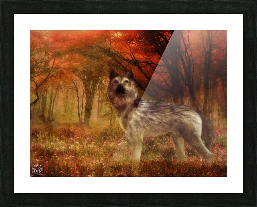  Fine Art print