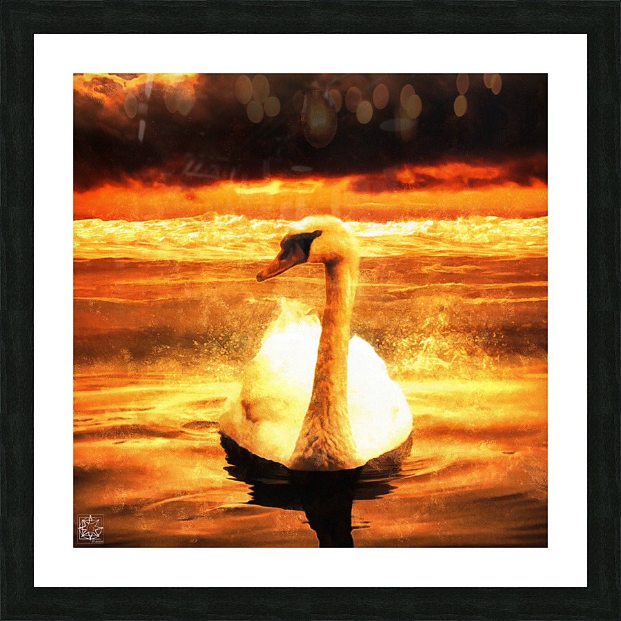  Fine Art print