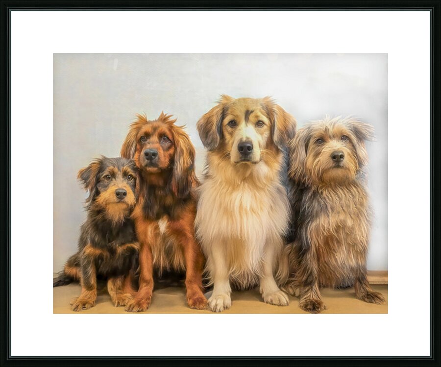 Four Fast Friends Picture Frame print