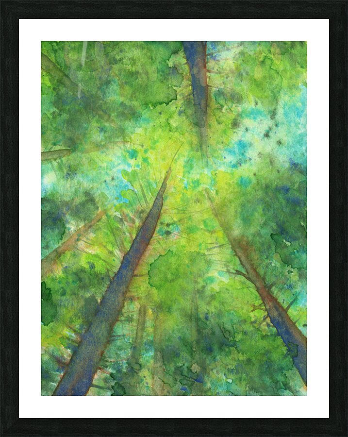 Looking up into the treetops handmade watercolor Picture Frame print