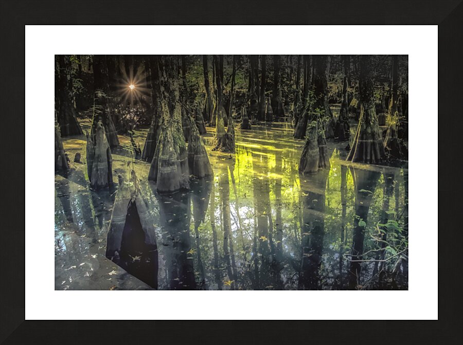 First Landing Park Sunrise Picture Frame print