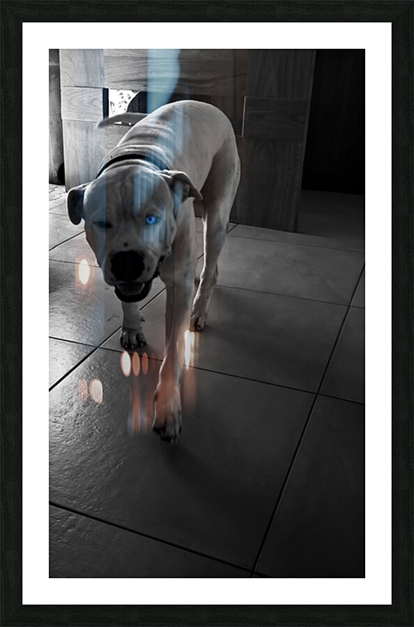 Angel Picture Frame print