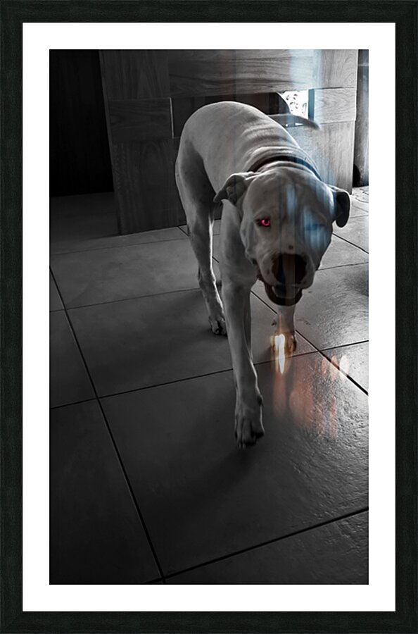 Deamon  Picture Frame print