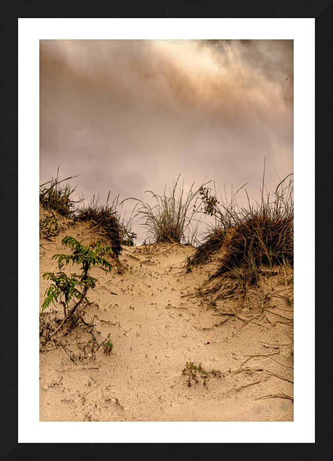 Sandy Path Through the Dunes Picture Frame print