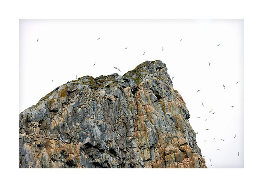 THE LIVING CLIFF Picture Frame print