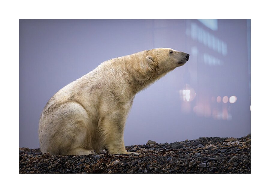 THE TASTE OF COLD AIR Picture Frame print