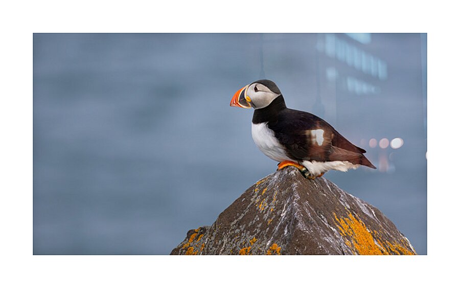 BETWEEN SEA SKY Picture Frame print