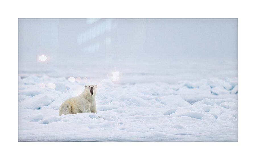 EMPRESS OF THE ARCTIC 7 Picture Frame print