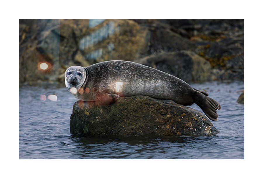 THE ROCK S KEEPER Picture Frame print