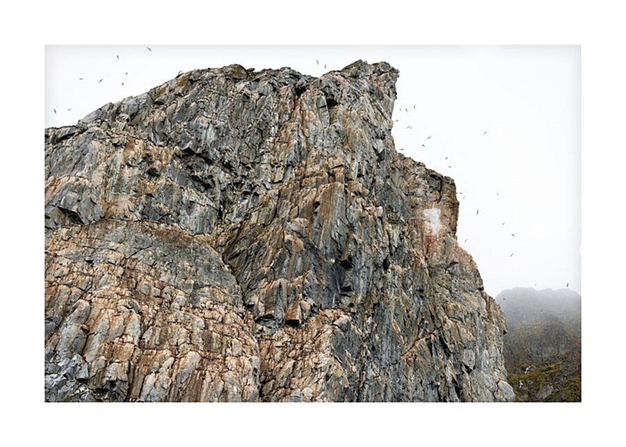 AVIAN HIGH RISE Picture Frame print