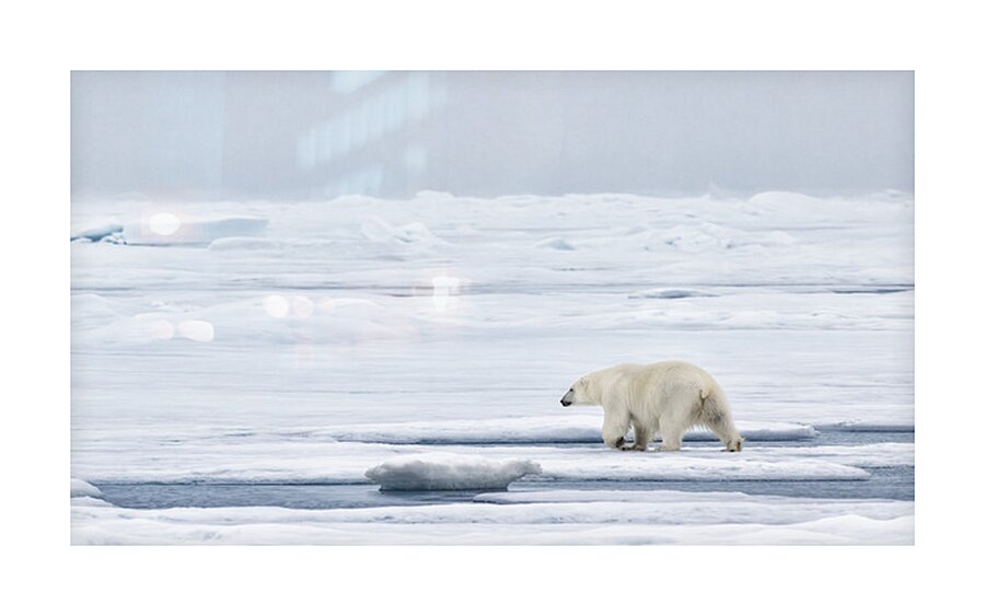 EMPRESS OF THE ARCTIC 9 Picture Frame print