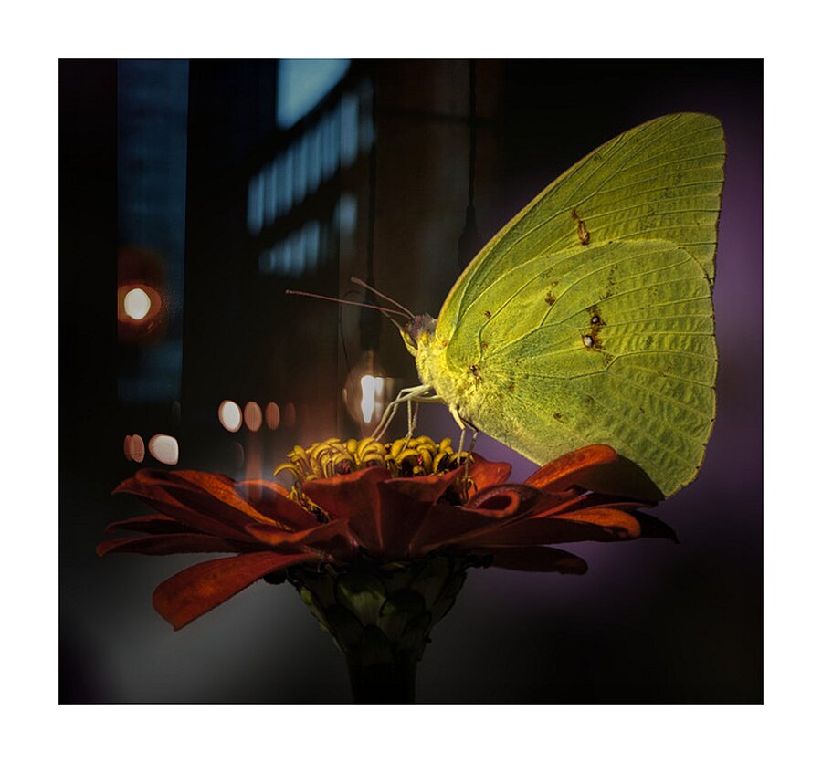 LANDING PAD Picture Frame print