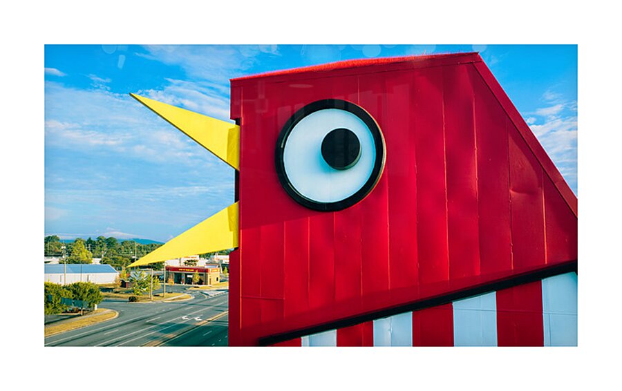 THE BIG CHICKEN Picture Frame print