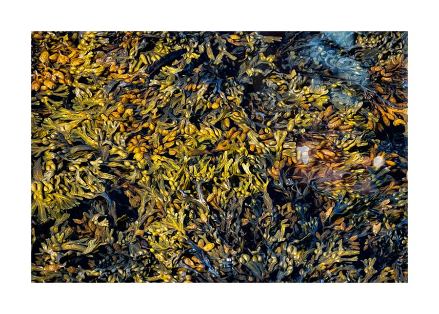 TAPESTRY DU FRANC Picture Frame print