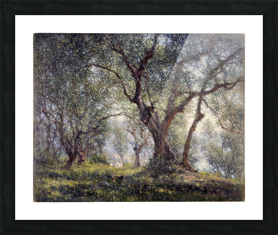 Les oliviers a Menton Picture Frame print