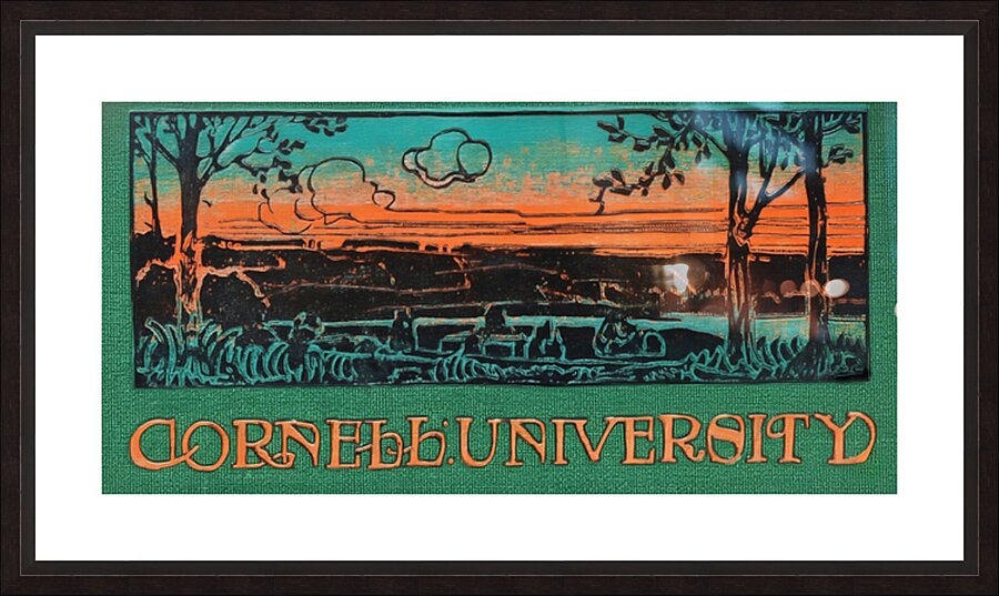 Early 1900s Cornell University Art Picture Frame print