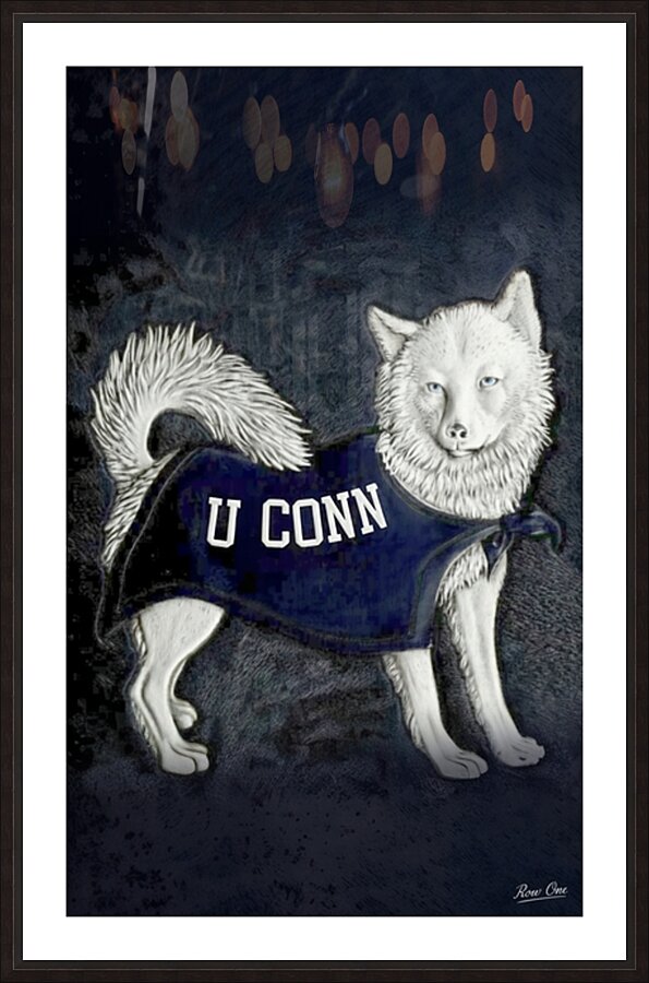 Vintage 1950s Connecticut Huskies Art Picture Frame print