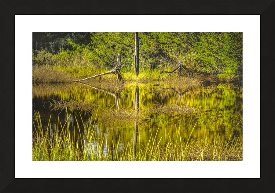 Southern Marsh Mirrored Reflections Picture Frame print