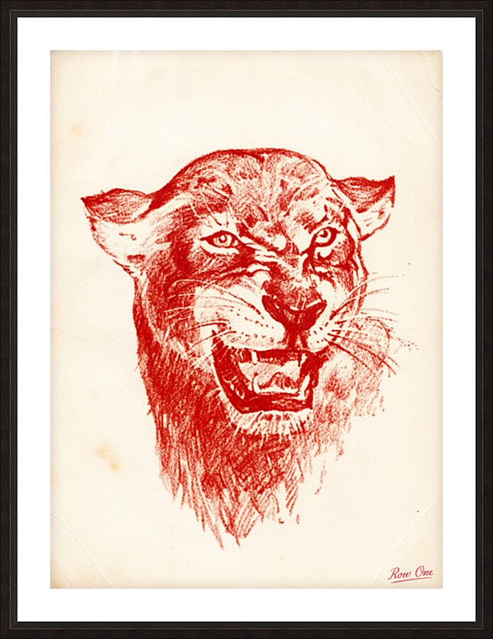 1940s Houston Cougar Art | Row One Picture Frame print