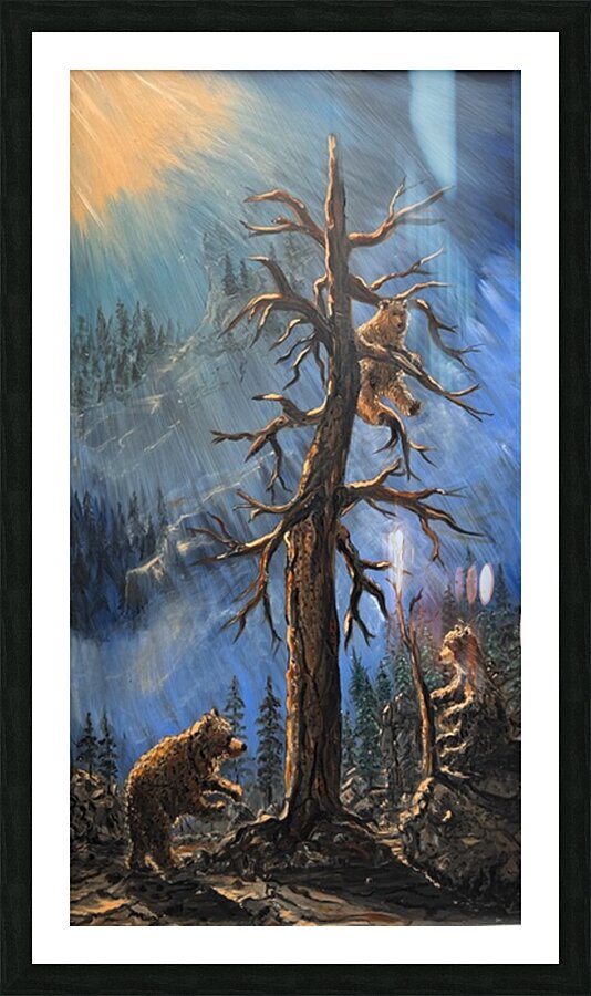 IMG 4215  Three bears playing in a tall pine tree Picture Frame print