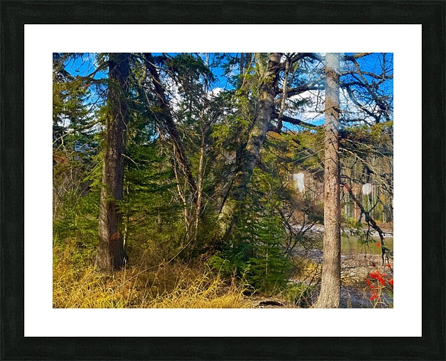  Fine Art print