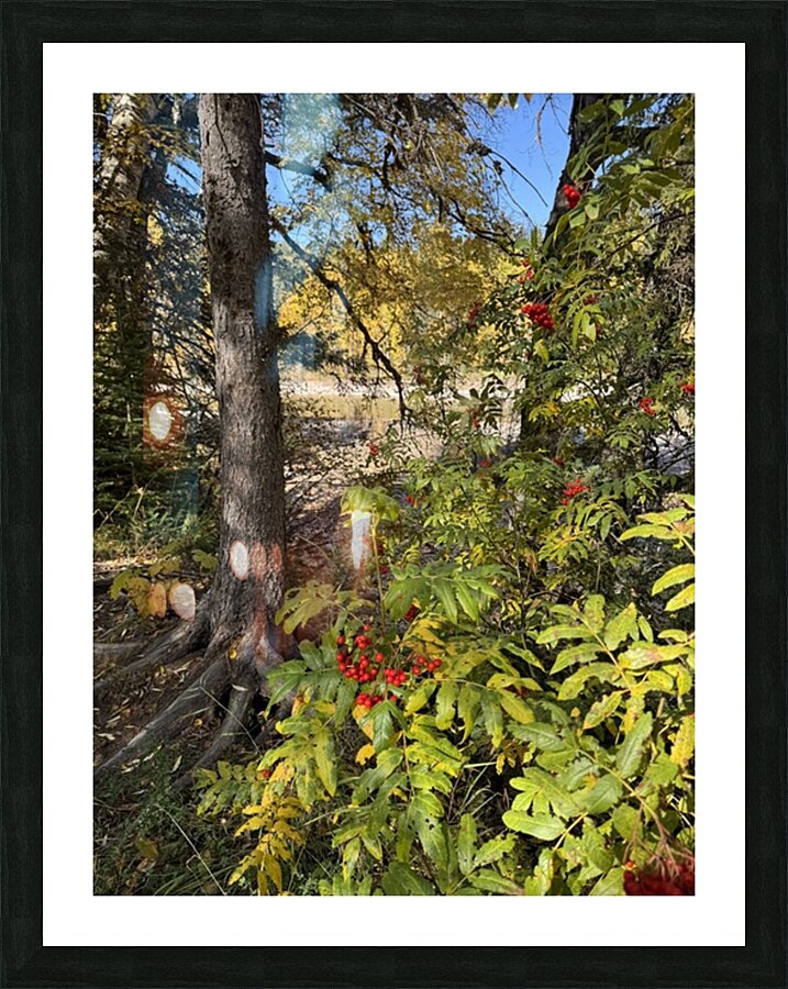 IMG 4378 landscape with colors Picture Frame print