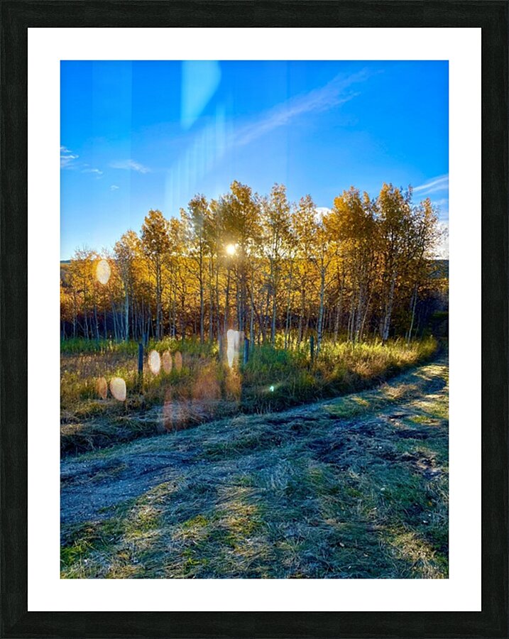 IMG 2246 cool colors in this landscape Picture Frame print