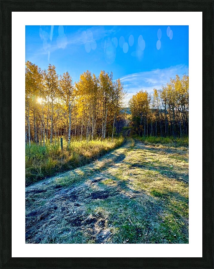 IMG 2247  Beautiful fall day Picture Frame print