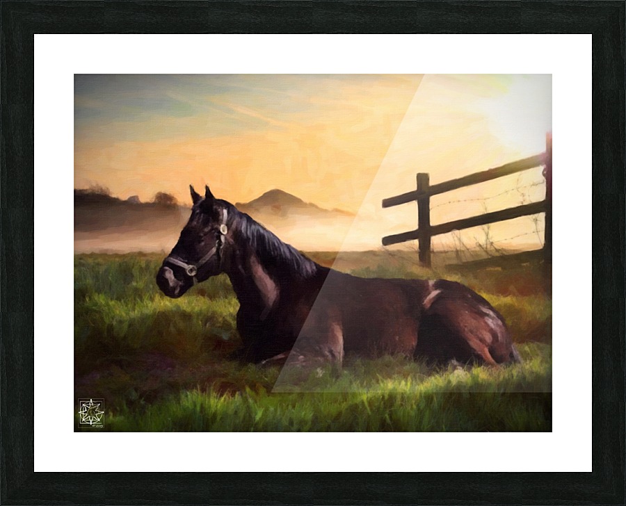  Fine Art print