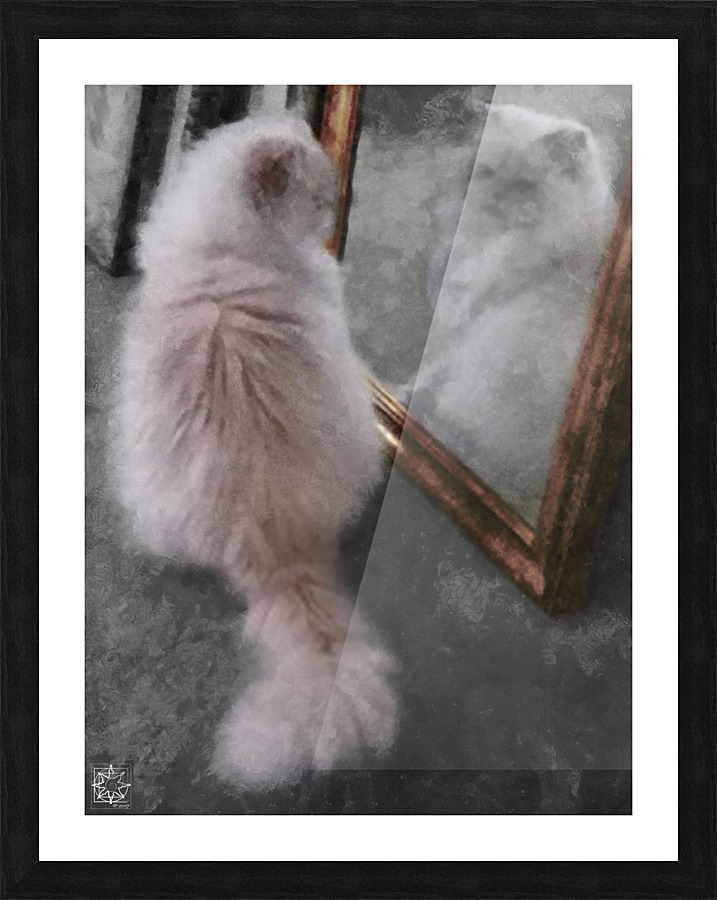  Fine Art print