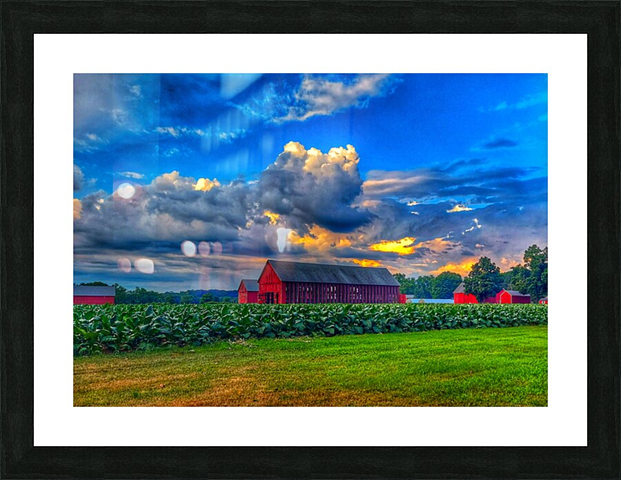 09 Summer Card Picture Frame print