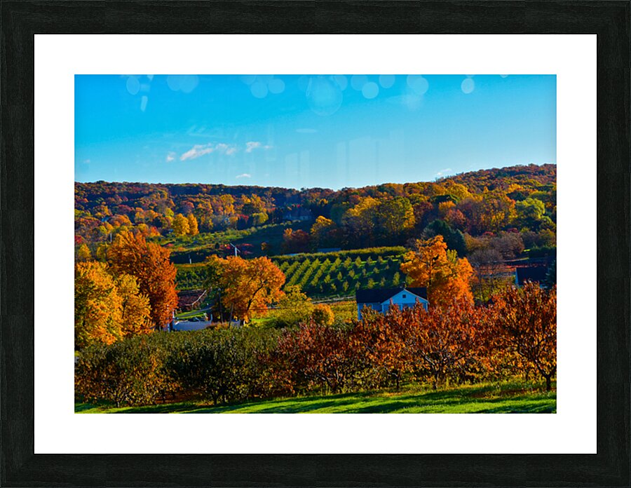 04 Autumn Card Picture Frame print