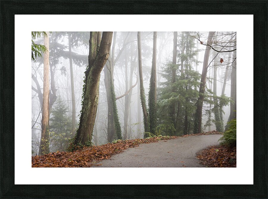 Passage Picture Frame print