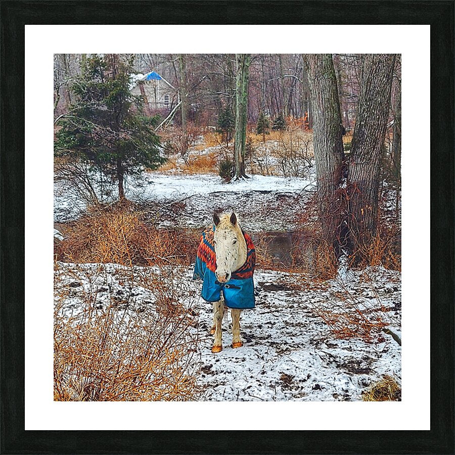 Cherokee Picture Frame print