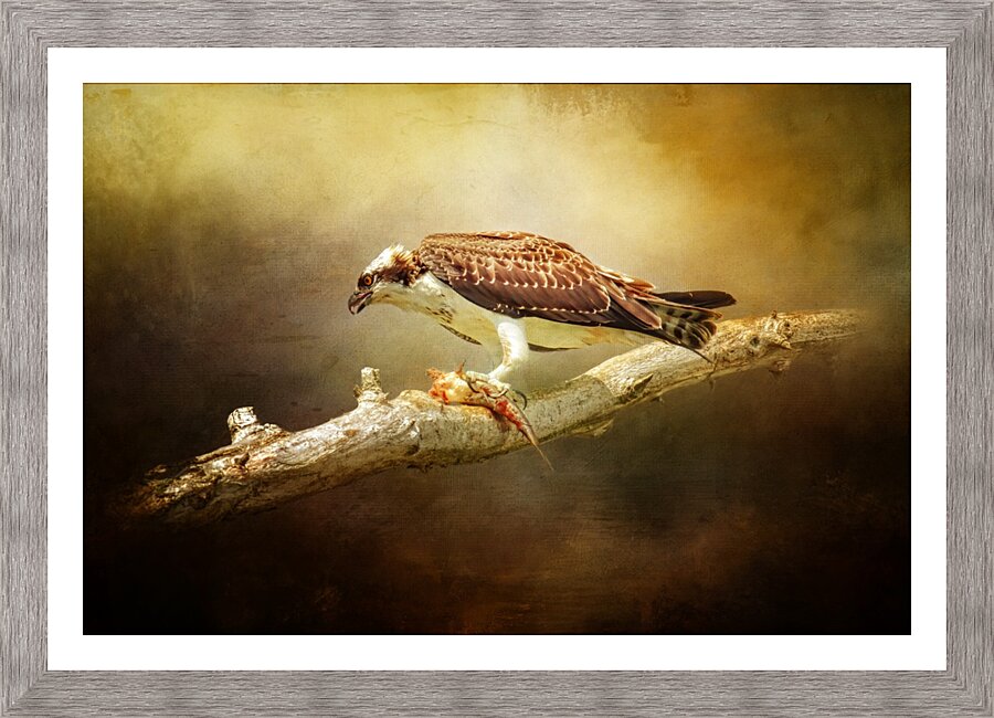 Lunch Time Picture Frame print