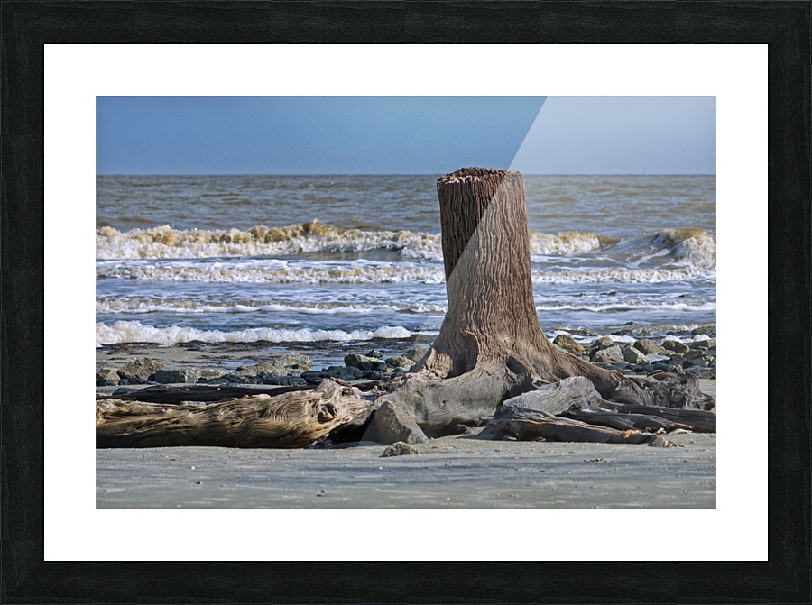 Driftwood Beach Post Picture Frame print
