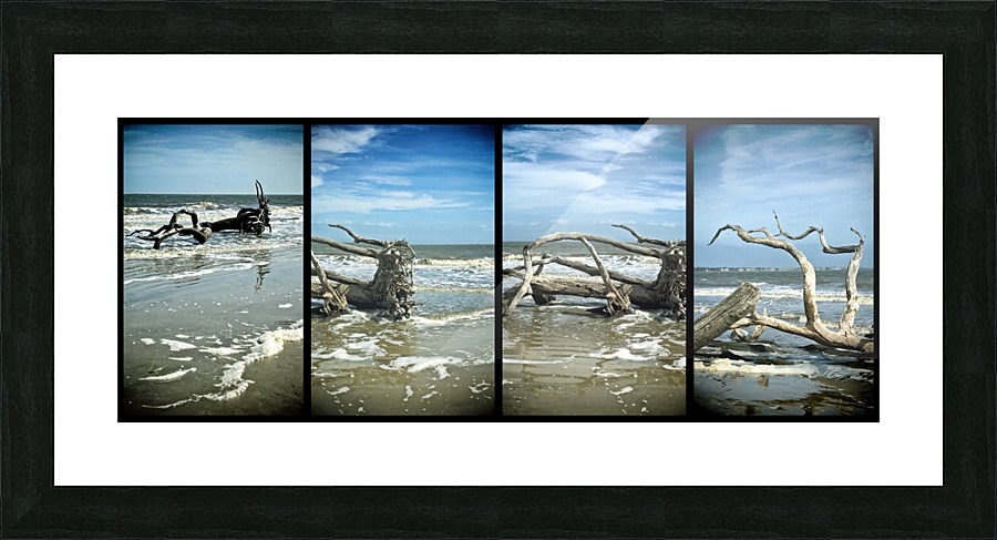 Driftwood Beach Panorama Quadtych Picture Frame print