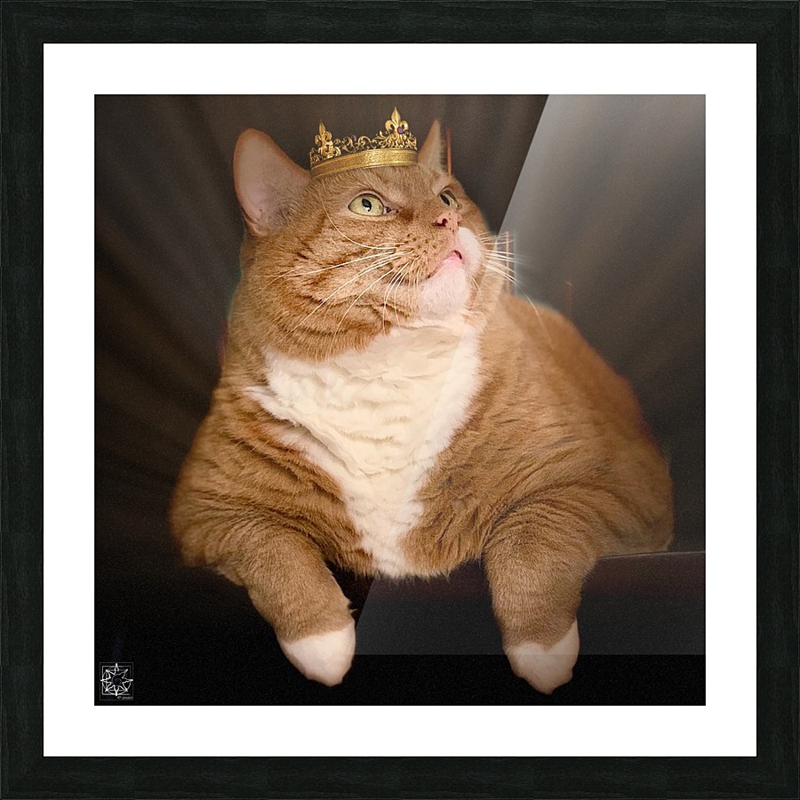  Fine Art print