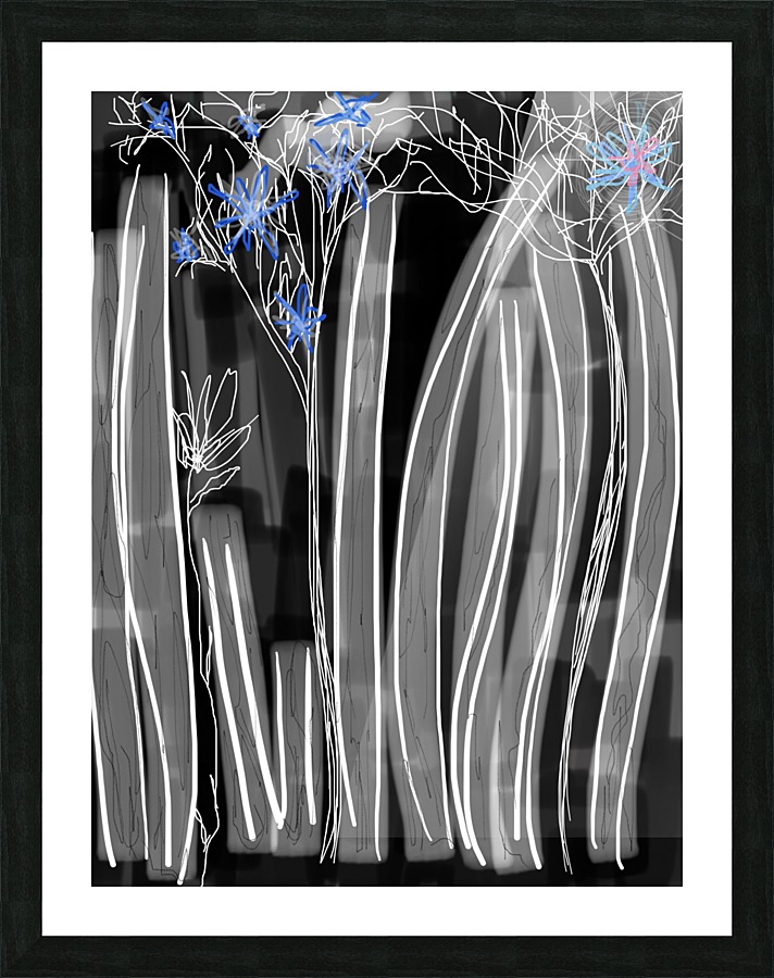  Fine Art print