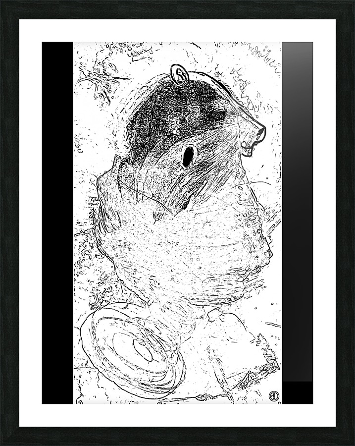  Fine Art print