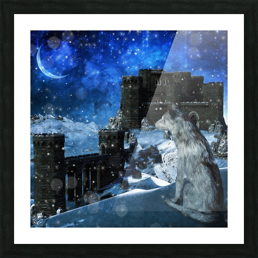  Fine Art print
